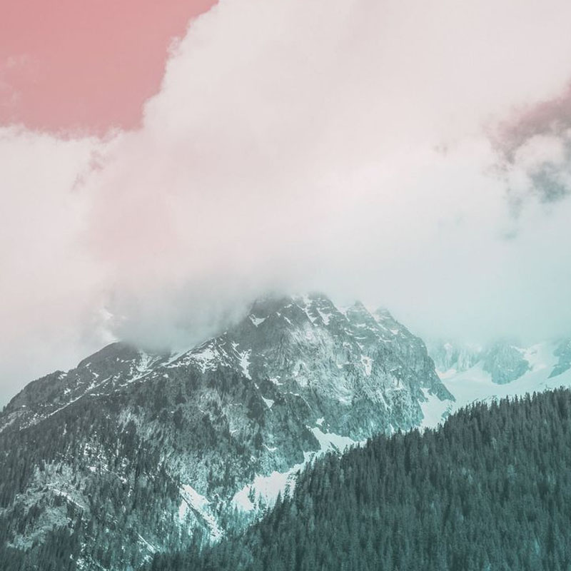 職人曼巴TOP系列